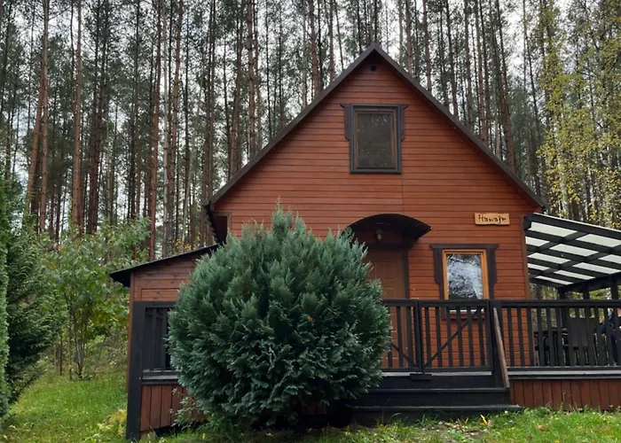 Caloroczny Hawaje Nad Jeziorem Kazub *