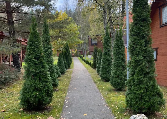 Caloroczny Hawaje Nad Jeziorem Kazub Cieciorka