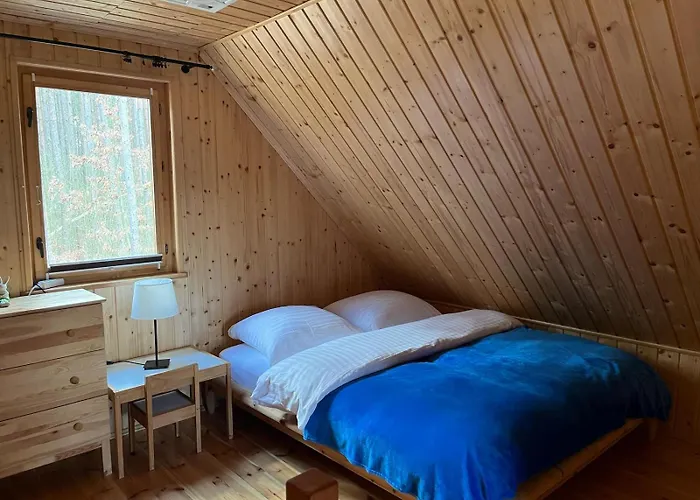 Caloroczny Hawaje Nad Jeziorem Kazub *